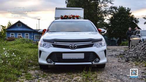 Вариант украшений для свадебного авто №75