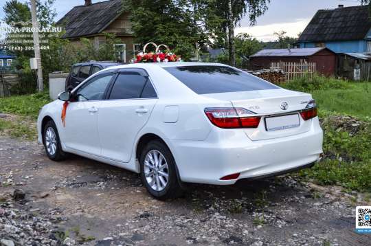 Вариант украшений для свадебного авто №75