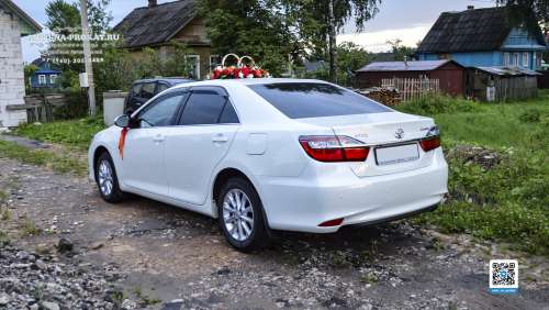 Вариант украшений для свадебного авто №75