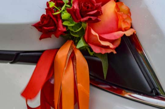 Вариант украшений для свадебного авто №75