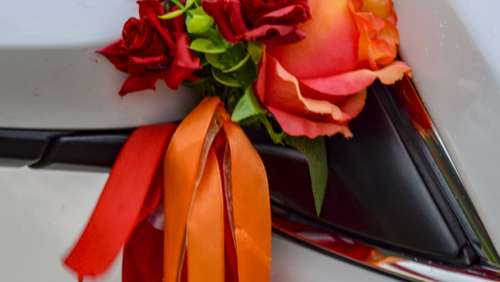 Вариант украшений для свадебного авто №75