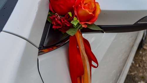 Вариант украшений для свадебного авто №75