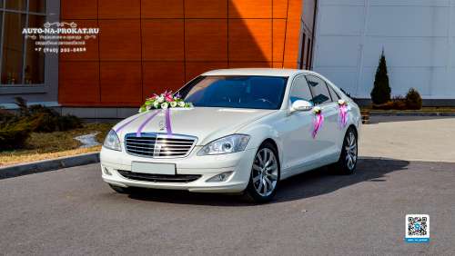 Вариант свадебных украшений для авто №40