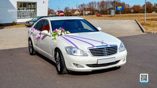 Вариант свадебных украшений для авто №40