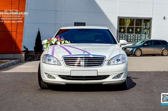 Вариант свадебных украшений для авто №40