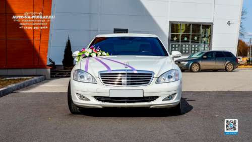 Вариант свадебных украшений для авто №40