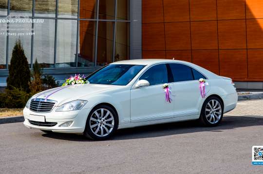 Вариант свадебных украшений для авто №40