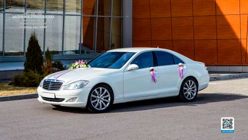 Вариант свадебных украшений для авто №40