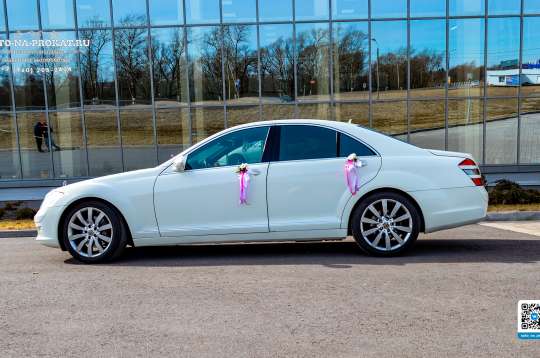 Вариант свадебных украшений для авто №40