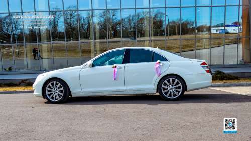 Вариант свадебных украшений для авто №40