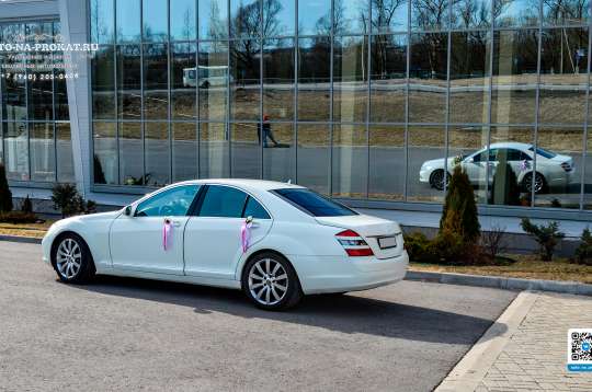 Вариант свадебных украшений для авто №40