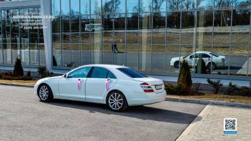 Вариант свадебных украшений для авто №40