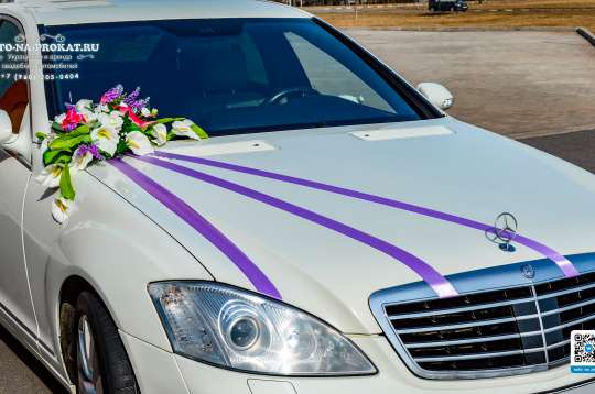 Вариант свадебных украшений для авто №40