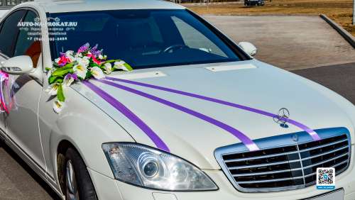 Вариант свадебных украшений для авто №40