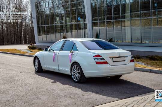 Вариант свадебных украшений для авто №40