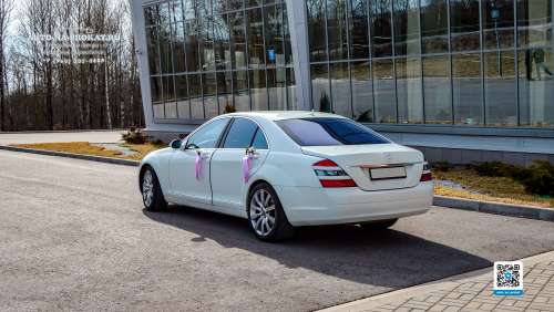 Вариант свадебных украшений для авто №40