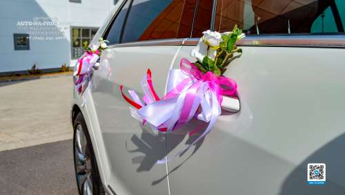 Вариант свадебных украшений для авто №40