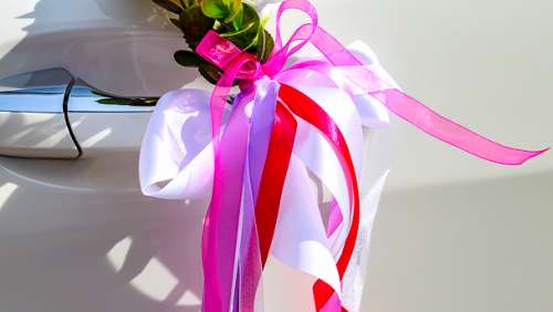 Вариант свадебных украшений для авто №40