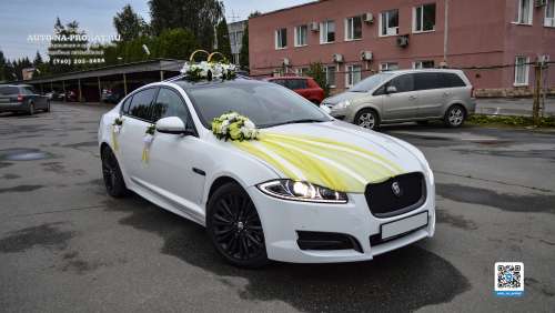 Вариант украшений для свадебного авто №79