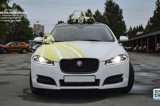 Вариант украшений для свадебного авто №79