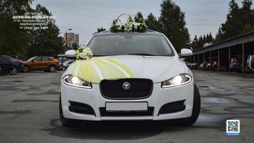 Вариант украшений для свадебного авто №79