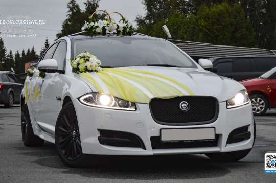 Вариант украшений для свадебного авто №79