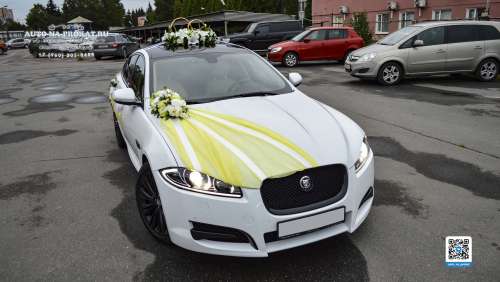 Вариант украшений для свадебного авто №79