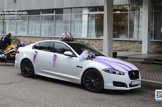 Вариант украшений для свадебного авто №81