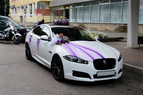 Jaguar XF и вариант украшения №81 Jaguar XF и вариант украшения №81