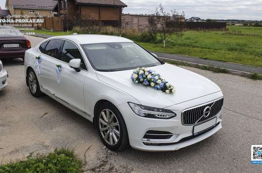 Вариант украшений для свадебного авто №83