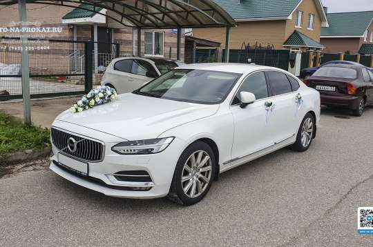 Вариант украшений для свадебного авто №83