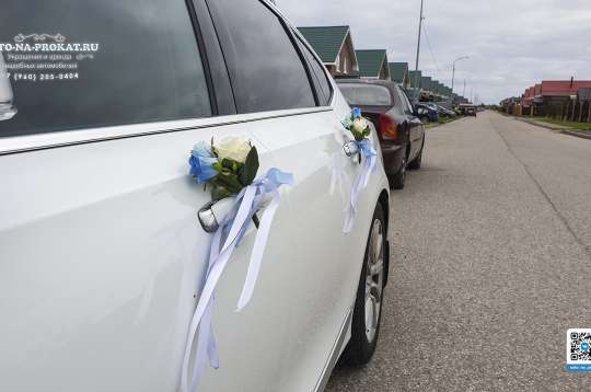 Вариант украшений для свадебного авто №83