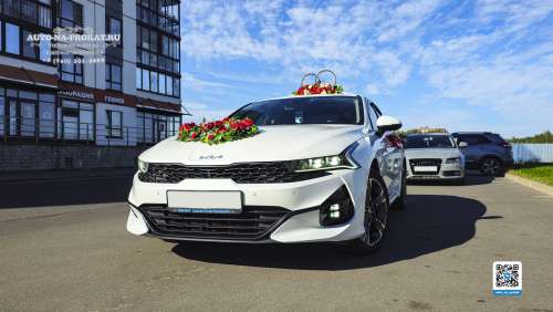 Вариант украшений для свадебного авто №84