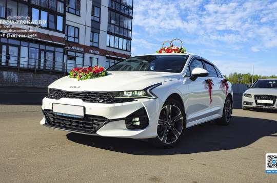 Вариант украшений для свадебного авто №84