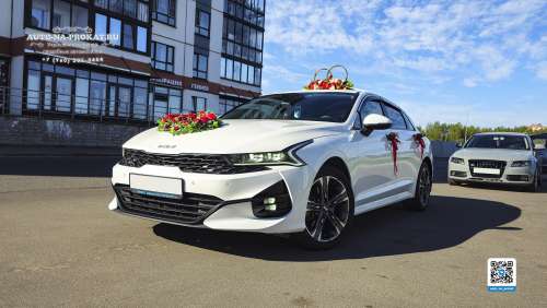 Вариант украшений для свадебного авто №84