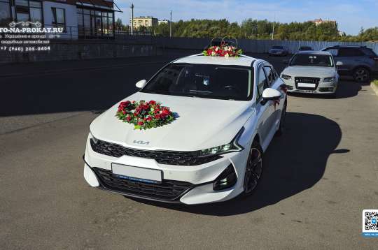 Вариант украшений для свадебного авто №84