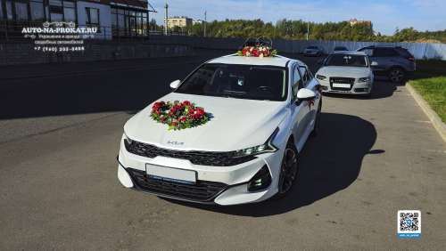 Вариант украшений для свадебного авто №84