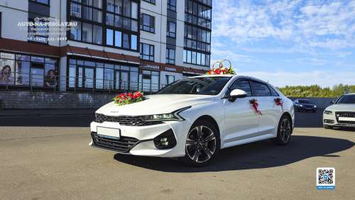 Вариант украшений для свадебного авто №84