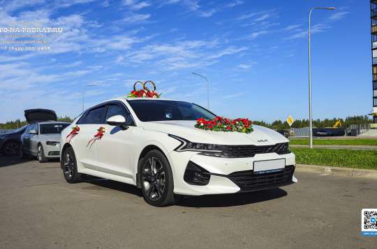 Вариант украшений для свадебного авто №84