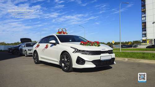 Вариант украшений для свадебного авто №84