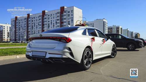 Вариант украшений для свадебного авто №84