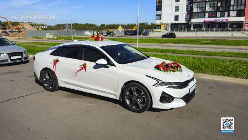 Вариант украшений для свадебного авто №84