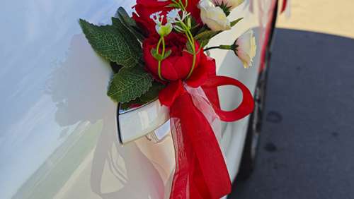 Вариант украшений для свадебного авто №84