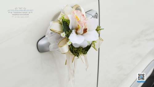 Вариант украшений для свадебного авто №86