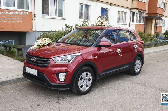 Вариант украшений для свадебного авто №86