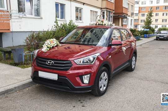 Вариант украшений для свадебного авто №86