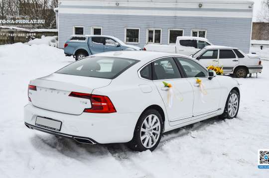 Вариант украшений для свадебного авто №87