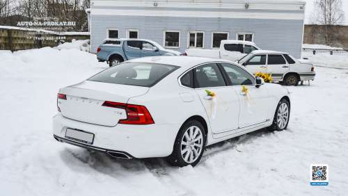 Вариант украшений для свадебного авто №87