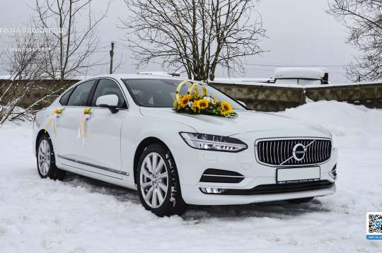 Вариант украшений для свадебного авто №87