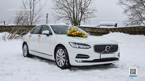 Вариант украшений для свадебного авто №87